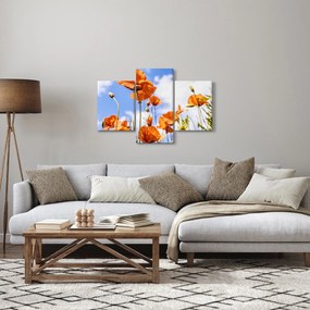 Obraz vlčích makov (90x60 cm)