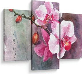 Obraz - Orchidey, aquarel (90x60 cm)