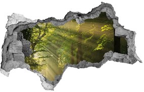 Nálepka fototapeta 3D výhľad Forest na slnku nd-b-71351198
