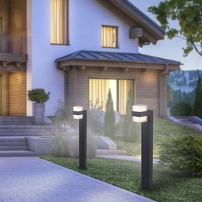 Paul Neuhaus 9481-13 - LED Vonkajšia lampa CARA LED/8W/230V IP44