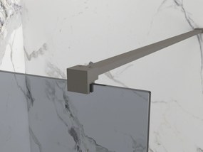 Erga Paris, sprchová zástena Walk-In 80x200 cm, 8mm šedé sklo, grafitový profil, ERG-V02-PARIS-080x200-GR-GG