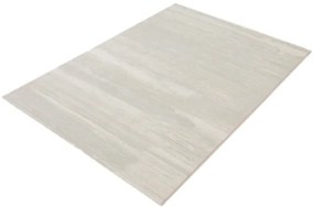 Koberec Ragolle Argentum 64229 6575