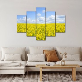 Obraz žltého poľa (150x105 cm)