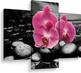 Obraz - Ružové orchidey (90x60 cm)