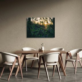 Sklenený obraz presvitajúceho slnka cez vetvičky stromov (70x50 cm)