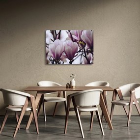 Sklenený obraz - Magnolie (70x50 cm)
