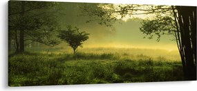 Obraz - Prebúdzajúci sa les (120x50 cm)