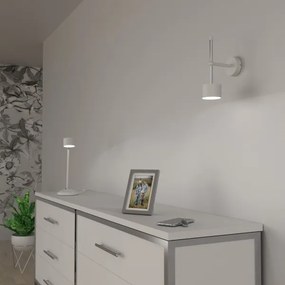 Nástenná lampa ARENA 1xGX53/11W/230V biela/chróm