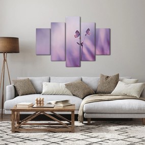 Obraz - Fialové motýliky (150x105 cm)