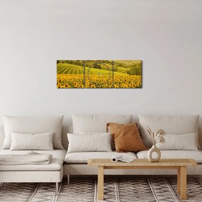 Obraz - Slnečnicové pole (s hodinami) (90x30 cm)