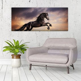 Obraz - Kone (120x50 cm)