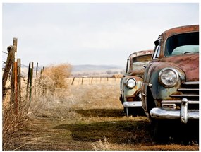 Artgeist Fototapeta - Two old, American cars Veľkosť: 245x193, Verzia: Samolepiaca