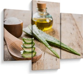 Obraz - Aloe vera (90x60 cm)