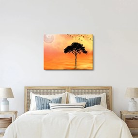 Obraz stromu pri západe slnka (70x50 cm)