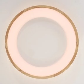 Brilagi-LED Stropné svietidlo FALCON WOOD LED/40W/230V 3000/4000/6000K 60 cm drevo