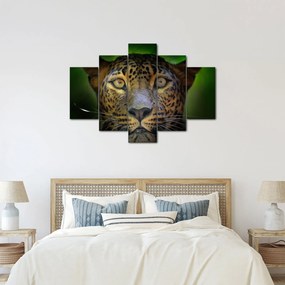 Obraz - Portrét leoparda, Sri Lanka (150x105 cm)