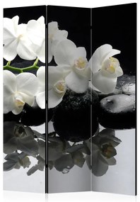 Artgeist Paraván - Spa, Stones and Orchid [Room Dividers]