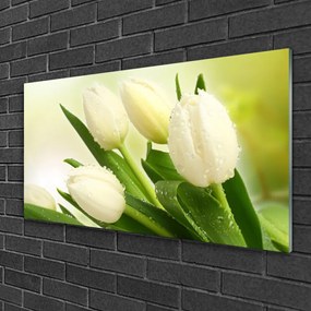 Obraz na skle Tulipány kvety rastlina 125x50 cm