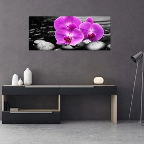 Obraz - Fialové orchidey (120x50 cm)