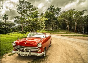 Obraz - auto veterán v prírode (70x50 cm)