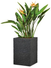 Scheurich Vysoký kvetináč Muretto (kamenistá čierna, výška 54 cm)  (100349847)