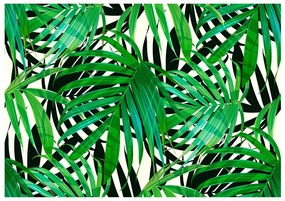 Samolepiaca fototapeta Tropical Leaves