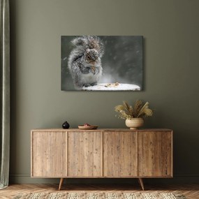 Obraz - Veverička v zime (90x60 cm)