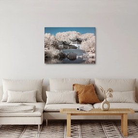 Obraz - Rozkvitnuté stromy v Ázii (70x50 cm)