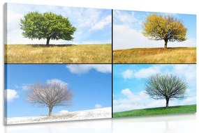 Obraz strom v ročných obdobiach Varianta: 120x80