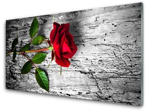 Obraz plexi Ruže kvet rastlina 100x50 cm