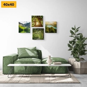 Set obrazov nádherná zelená príroda - 4x 60x60