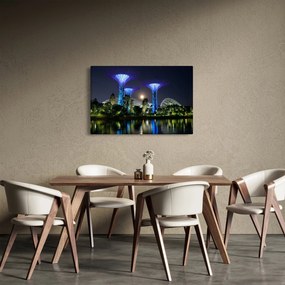 Obraz splnu v Singapurských záhradách (90x60 cm)
