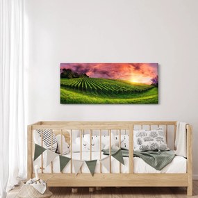 Obraz vinice s farebným nebom (120x50 cm)