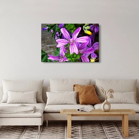 Obraz - lúčne kvety (90x60 cm)