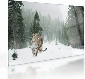Sklenený obraz leoparda v snehu (70x50 cm)