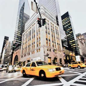 Obraz tlačený na plátne 70x70 PRC870