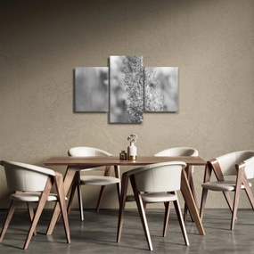 Obraz - Boho pampas grass (90x60 cm)