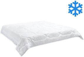 Brotex Prikrývka Thermo 240x200cm zimná 2880 g (600g/m2)