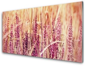 Skleneny obraz Pšenica rastlina príroda 120x60 cm