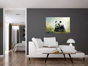 Obraz - Panda (90x60 cm)