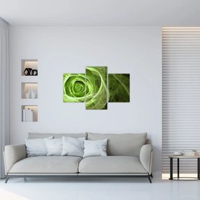 Obraz - Abstraktné ruže zelená (90x60 cm)
