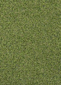 Koberce Breno Umelá tráva PRADO, šíře role 200 cm, zelená