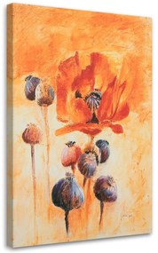 Gario Obraz na plátne Kvitnúce maky ako ručne maľované Rozmery: 80 x 120 cm