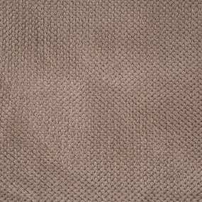 RÝCHLOSCHNÚCI UTERÁK Z MIKROVLÁKNA ZOE1 30X50 CM BÉŽOVÁ