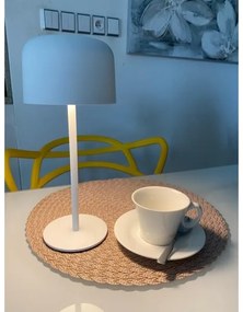 Immax 08497L - LED Stmievateľná vonkajšia solárna lampa LED/4W/5V 3600mAh IP44