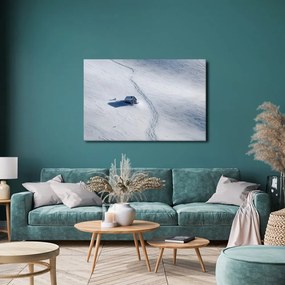 Obraz zasnežená krajina s chalúpkou