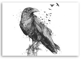 Gario Obraz na plátne Čiernobiely vták - Rykker Rozmery: 60 x 40 cm