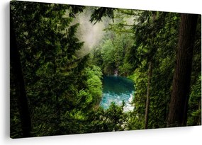 Obraz - Priezor medzi stromami (90x60 cm)