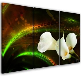 Obraz na plátně třídílný, Bílý květ na hnědém pozadí - 150x100 cm