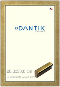 DANTIK rám na obraz 20x30 | GRAFIC zlatá vysoká (Sklo Čiré)